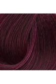 LitaeTrend Premium 4.20 Koyu Viyole - Kalıcı Krem Saç Boyası 50 g Tüp thumbnail 2