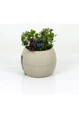 LitaeTrend Mercan Saksı 11.5x12 Cm 0.70 Lt - 1