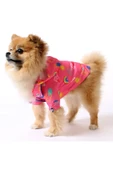 MAXSTYLESPET Gökkuşağı Desenli Fileli Pet Yağmurluk - Pembe - Köpek Kedi Kıyafeti thumbnail 1