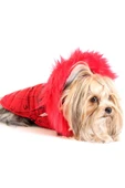 MAXSTYLESPET Pet Mont Imza Desenli Kırmızı Köpek Kedi Kıyafeti - 2