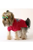 MAXSTYLESPET Lacoste Pet Tshirt (SUN&FUN) Pembe - Köpek Ve Kedi Kıyafeti thumbnail 1