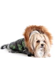 MAXSTYLESPET Pet Mont Kamuflaj Desenli Köpek Kedi Kıyafeti - 2