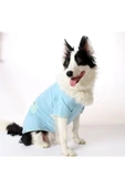 MAXSTYLESPET Simli Yıldızlı Cepli Pet Tshirt - Mavi - Köpek ve Kedi Kıyafeti thumbnail 1