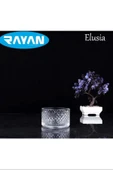 LitaeTrend Elusia Lines Çizgili Tekli Cam Çerezlik Royaleks-82637 - 1