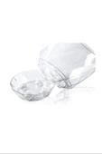 LitaeTrend 2 No Orkide Saksı Yakamoz Royaleks-KRS-462 - 3