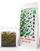 KAKUELM SERTİFİKALI Kök Zerdeçal 100 GR thumbnail 1