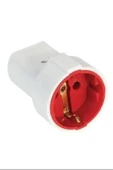 LitaeTrend Topraklı Dişi Fiş Royaleks-ASL517 - 1