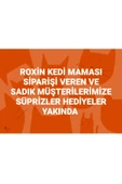 Roxin Premium Klasik Somonlu Yavru Kedi Maması 5 Lt - 3