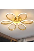 Fico Home Modern Plafonyer Tavan Led Avize Massano Ledli Avize Eskitme Gold - 3