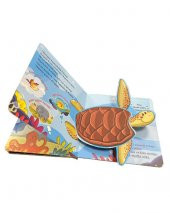 Pop up ile Keşfet Okyanus Yolculuğu thumbnail 2