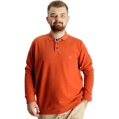 Büyük Beden Erkek Sweat Polo Selanik Nakışlı 20440 Tarçın - 1