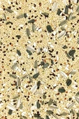 LitaeTrend Sultan Papağanı Karışık Doğal Taze Kuş Yemi - 500 gr - 3