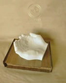 Minelly Şevkatli Eller - 1