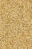 LitaeTrend Tüm Kuşlar İçin Doğal Taze Soyulmuş İç Yulaf - 500 gr - 3