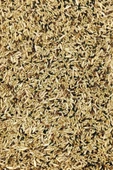 LitaeTrend Kanarya Karışık Kuş Yemi Doğal Taze - 3 kg - 3