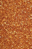 LitaeTrend Kırmızı Darı Sade Tozsuz Doğal Taze Kuş Yemi - 5 kg - 3
