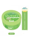 LitaeTrend Cire Aseptine Vazelin Aloe Vera 150 ml - 1