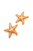 LitaeTrend Mineli Deniz Yıldızı Küpe - Turuncu thumbnail 2