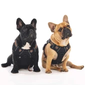 M-Pets Hıkıng Reflektörlü Soft Köpek Göğüs Tasması Turuncu S thumbnail 3