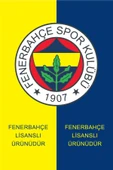 Fenerbahçe Lacivert Tribün UV Kutulu Çubuklu Erkek Sweatshirt - 7