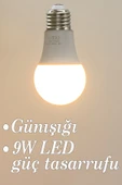 Vivido Home Gün Işığı Led Ampul 9W - 1