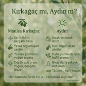 5 Litre Zeytinyağı (Erken Hasat - Naturel Sızma - Edremit Cinsi) - 4