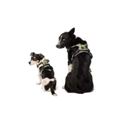 M-Pets Hıkıng Reflektörlü Kamuflaj Desenli Soft Köpek Göğüs Tasması S - 3