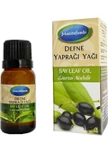 MECİTEFENDİ DEFNE UÇUCU YAĞI 10ML - 1