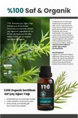 Tto Öay Ağacı Yağı 10ml - 2