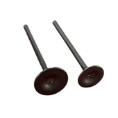 RKS 150 Titanic Subap Takımı - 1