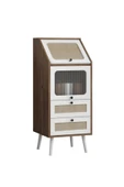 PC RATTAN CAMLI AYAKLI ÇOK AMAÇLI DOLAP - 1