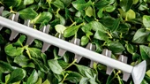 Bosch Universal HedgeCut 60 Çit Budama Makinesi - 06008C0703 - 4