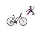 MOSSO LEGARDA-2321-LDM-V KADIN ŞEHİR BİSİKLETİ 460H 28 JANT 21 VİTES MÜRDÜM PEMBE - 1