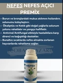 nEFEs NEFES AÇICI PREMİX 500 ML thumbnail 1