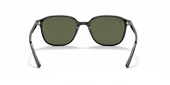 Ray-Ban Leonard 2193 901/31 Black-Green Güneş Gözlüğü thumbnail 3