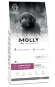 Molly Medium Large Puppy Kuzu Etli Yaban Mersinli Yavru Köpek Maması 15kg - 1