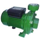 Atlantis Blu DMLA 30-1.5M 2 HP Tek Kademeli Basınçlı Santrifuj Bahçe Pompası 220V - 1