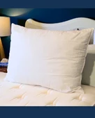 Solivane Otel Tipi Lüks Yastık | Elit Cotton Nano Yastık 1300gr 230TC | Queen Size 60x80 - 5