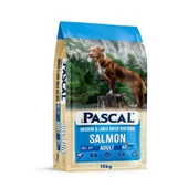 Pascal Somonlu Orta ve Büyük Irk Yetişkin Köpek Maması 15 kg thumbnail 1