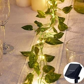 Güneş Enerjili Sarmaşık Led Dekor 5 Metre S-24 - 2