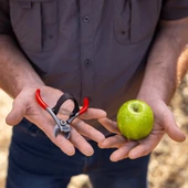 330 MEYVE HASAT MAKASI thumbnail 5