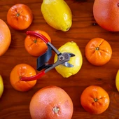 330 MEYVE HASAT MAKASI thumbnail 8