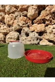 Suluk 2 Lt 1 Adet Tavuk Suluğu Civciv Suluğu Kanatlı Suluğu Plastik Suluk Çeşitleri - 2
