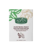 Pastil x 12 Adet Zencefilli - Boğaz Rahatlatıcı - 1