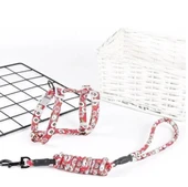 Kedi Gezdirme Göğüs Tasması Desenli thumbnail 2