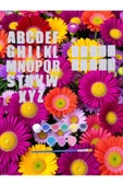 sharp&art HARF ve RAKAMLAR TAŞ BOYAMA, OKUL ve AİLE ETKİNLİK SETİ, 9 RENK BOYA ve FIRÇA İLE - 6