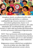 sharp&art Taş Boyama Anne-çocuk Etkinliği, 30 Parça Motorlu Araç Ve Hayvanlar, Aile Ve Okul Etkinliği - 7