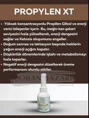 Propylen Xt thumbnail 1