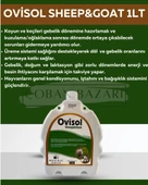 Royal İlaç Royal Ovisol Sheep&goat Koyun ve Keçi Yem Katkısı 1 Lt thumbnail 1