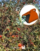 Blue Berry , Aronya , Kuşburnu , Alıç Ve Meyve  Toplama Tarağı Plastik Bsr Garden thumbnail 5